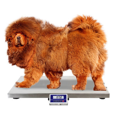 China 75 100 200 Kg Dog Weight Scale / Pet Weighing Scales With Anti - Slip Mat supplier