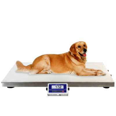 China 200kg Digital Floor Scale / Electronic Pet Weighing Scale With 4 Adjustable Foot supplier