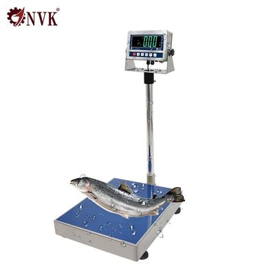 China Digital Stainless Steel Platform Scale Bench Scale with Stainless Steel GW2 Indicator supplier