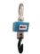 50T OCS Orthophoria Wireless Crane Scale , Digital Crane Weighing Scales supplier