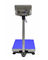 Corrosion Resistant 300 Kg Heavy Duty Weighing Scales With LCD Indicator supplier