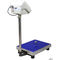 200 Kg Digital Bench Scale With LCD Indicator And Four Adjustable Foot supplier