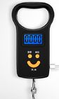 Mini Size Digital Luggage Weighing Scale High Precision Max Capacity 50kg