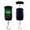 Airport Portable Digital Luggage Scale Energy Saving With LCD Display supplier